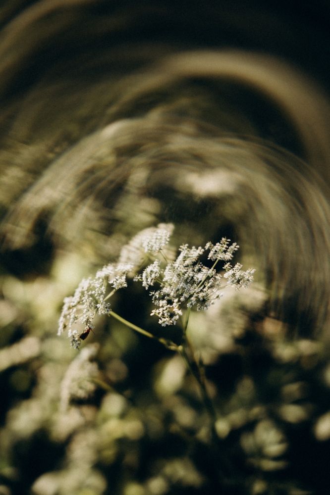 Photograph by Елена Подшевалова