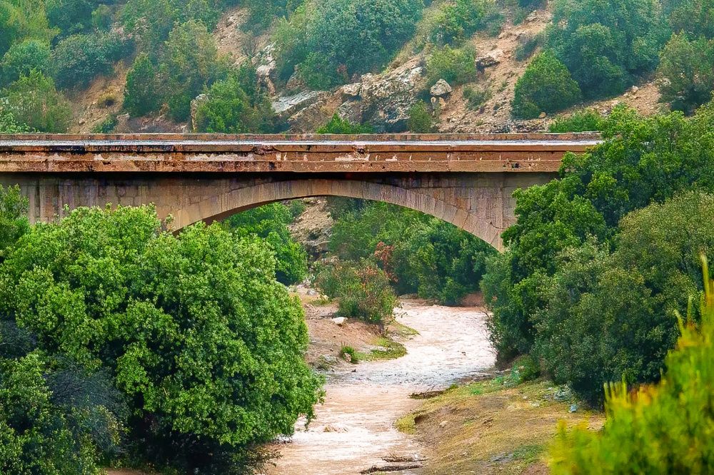 Photograph by barkat Ahmida