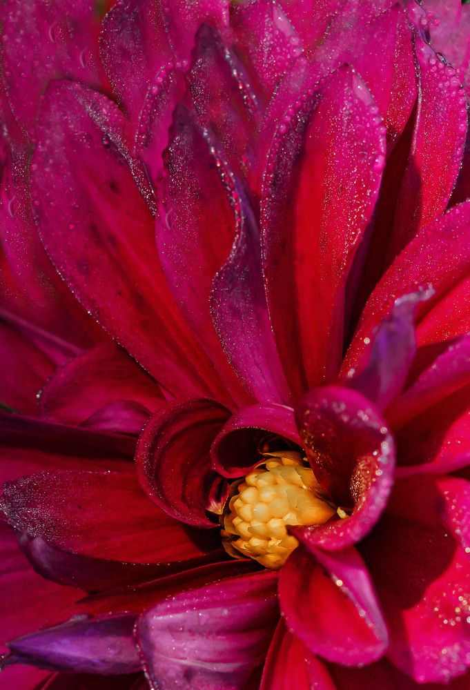 Фотография автора Галина