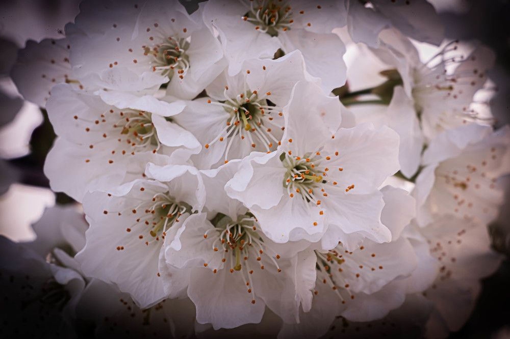 Photograph by Romina Moniri