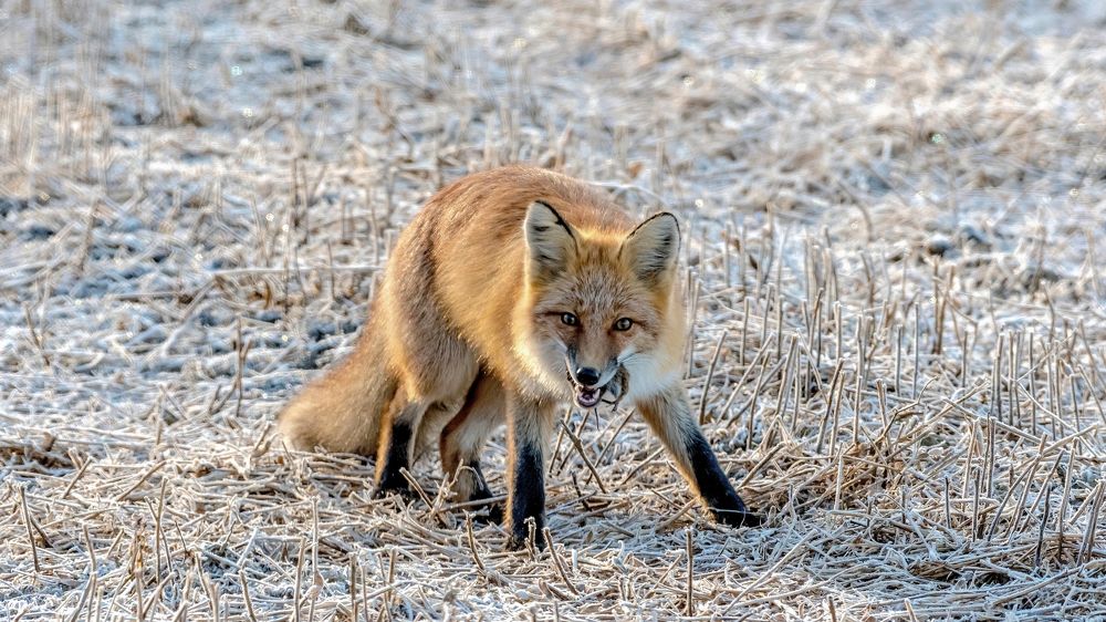 Photograph by константин