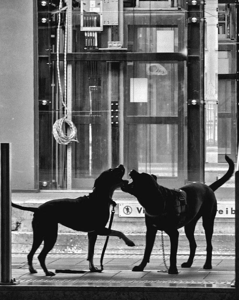 Photograph by Kristina F