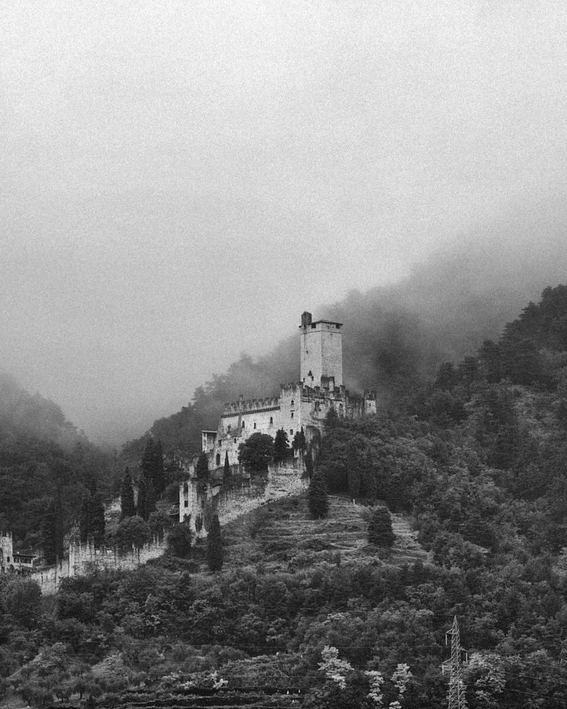 Photograph by Kristina F