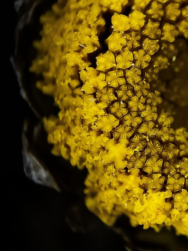 Photograph by Natalia Sopoćko