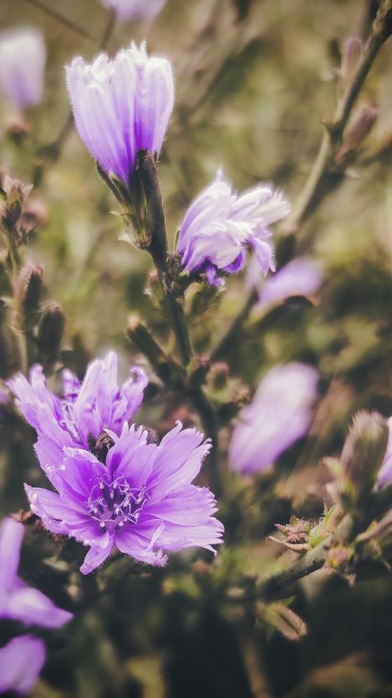 Photograph by Андрей Летов