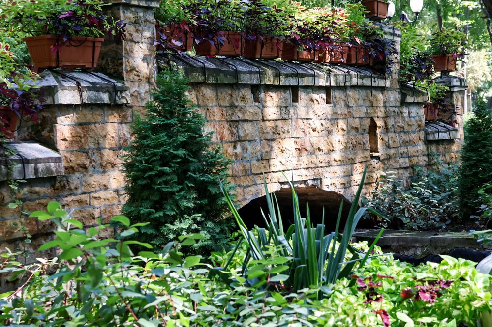 Photograph by Grădinaru Catalin