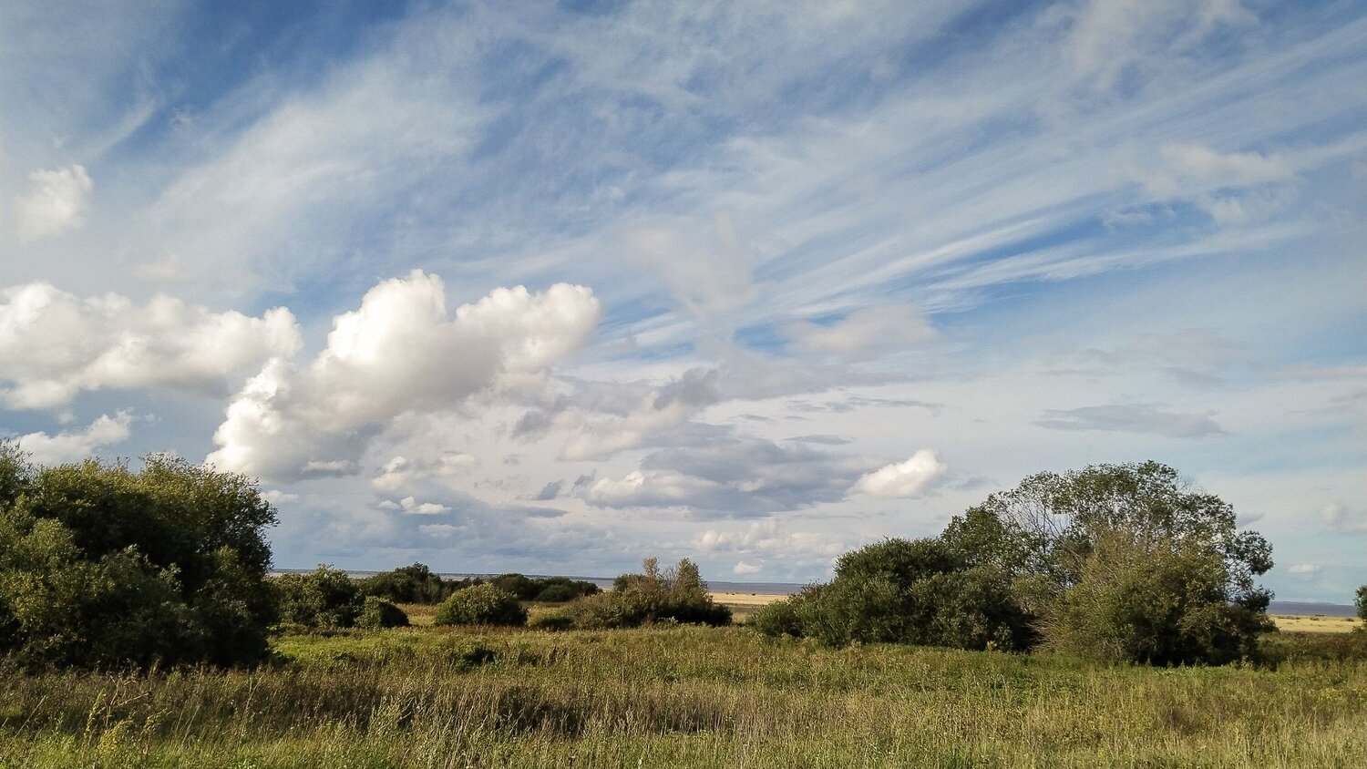 Photo #10978385