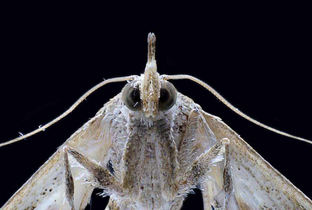 Photograph by Alaa obeid