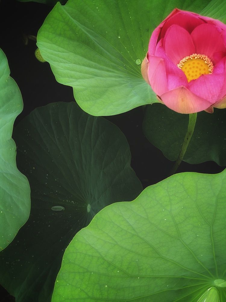 Photograph by Екатерина Исаева