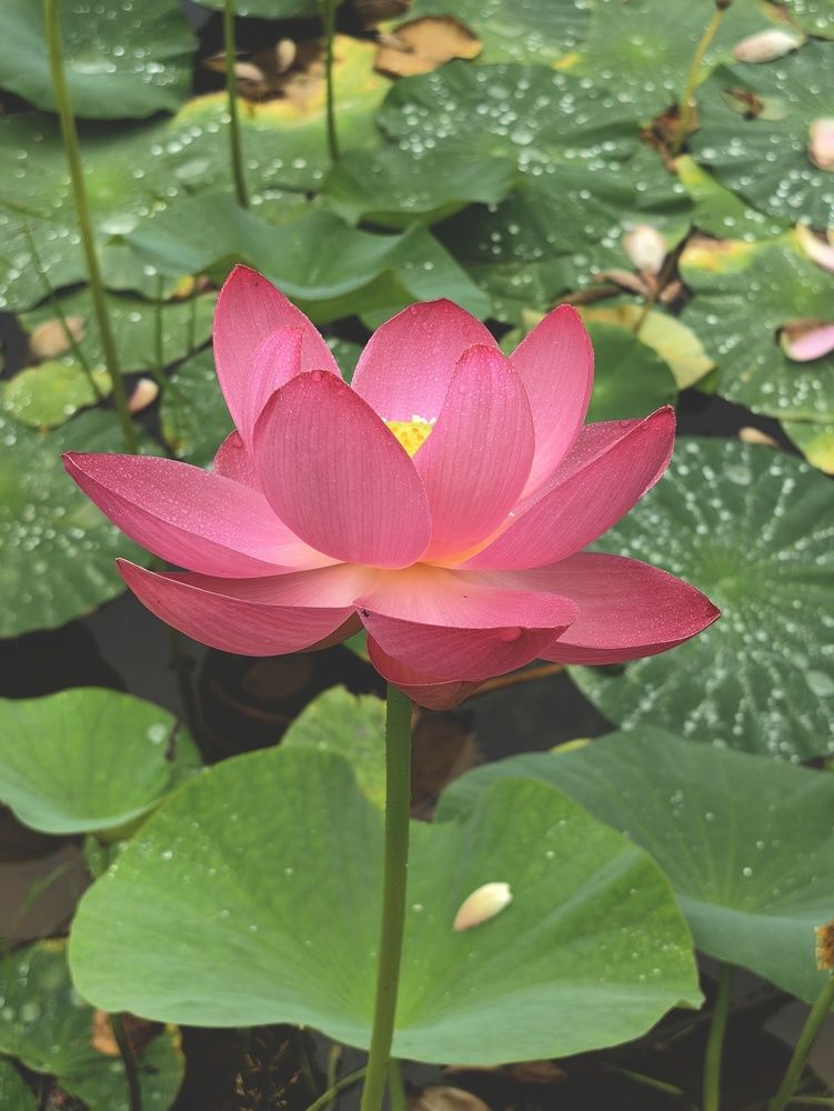 Photograph by Екатерина Исаева