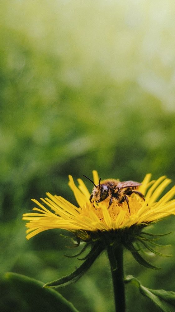 Photograph by Андрей Летов