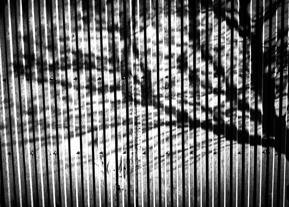 Photograph by Александр Редько