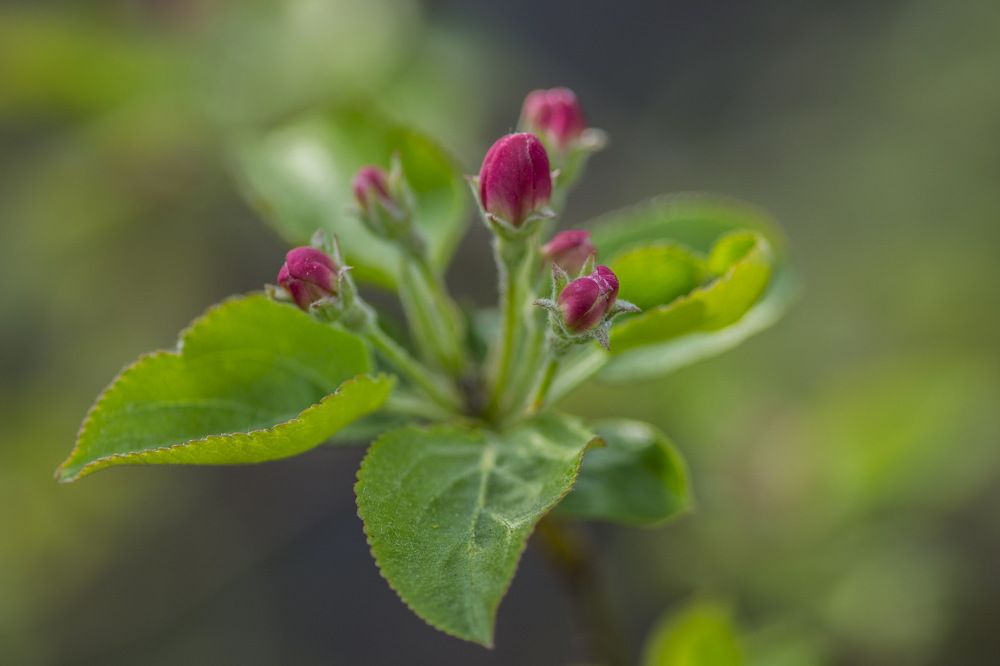 Photograph by Ольга Шуякова