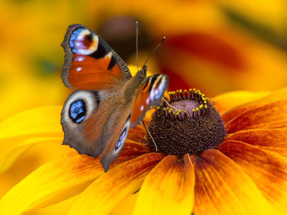 Photograph by Сергей Алексеев