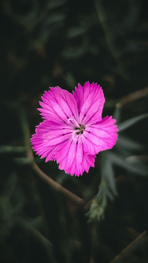 Photograph by Андрей Летов