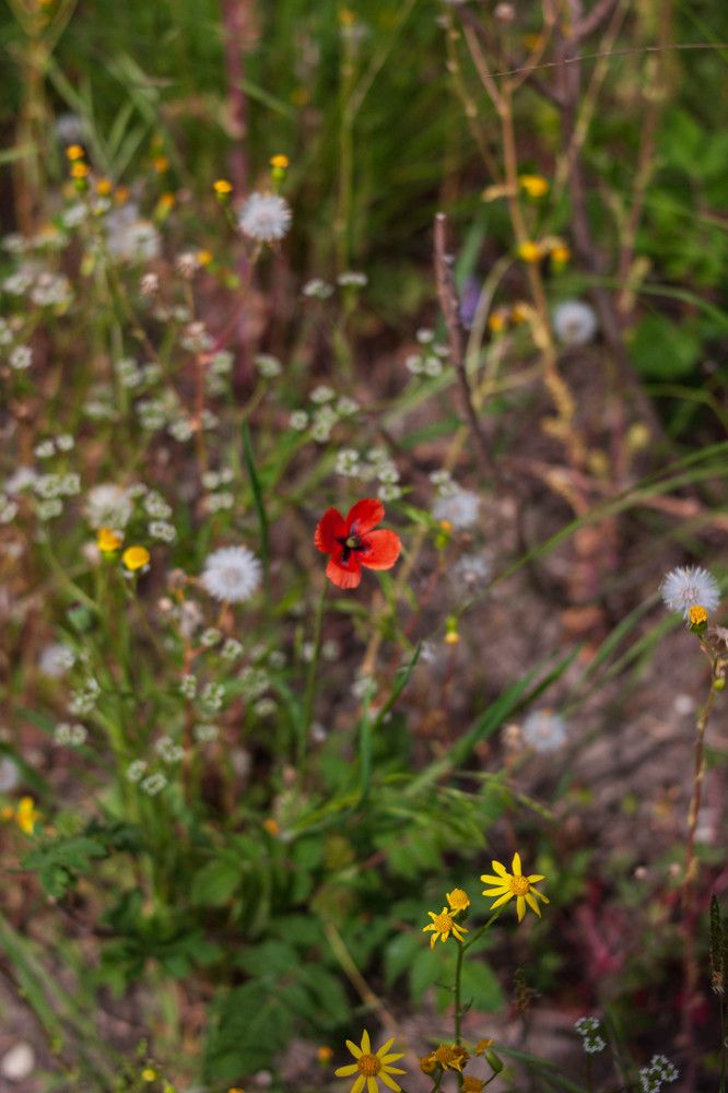 Photograph by Елена Казаренко