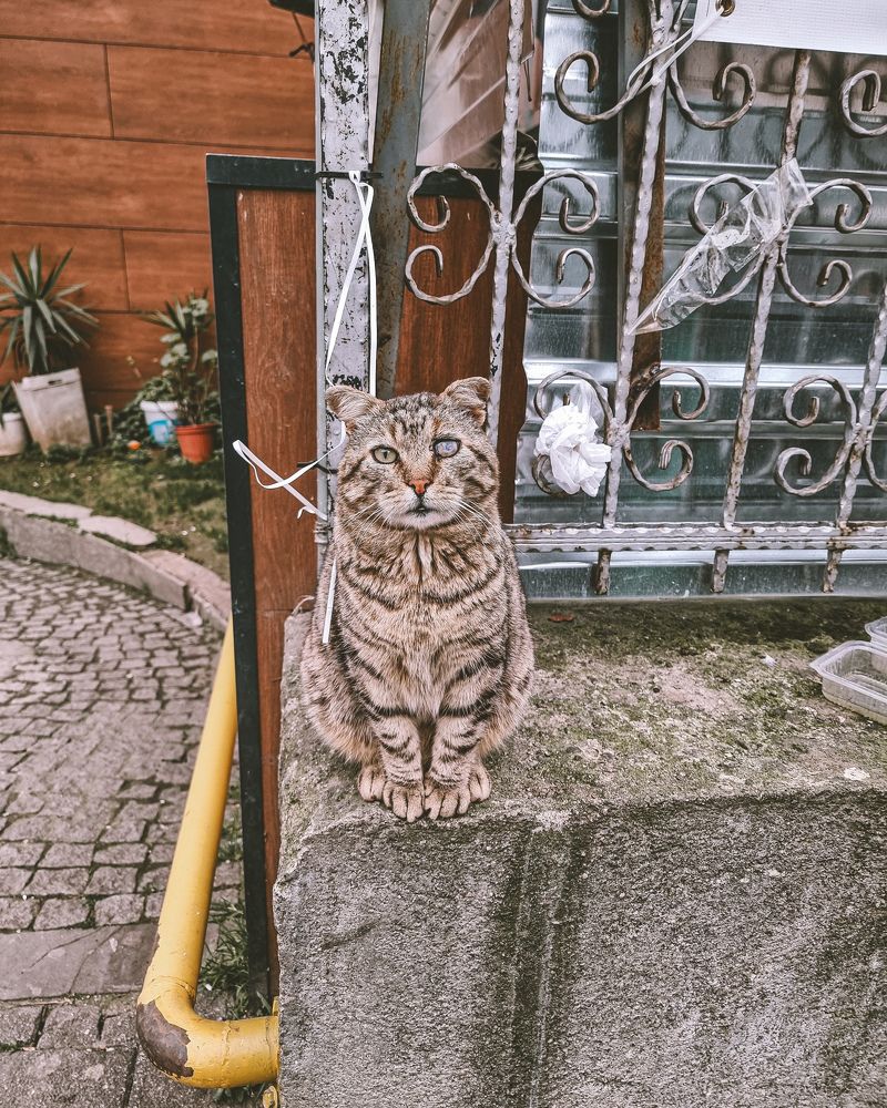 Photograph by Таисия Ищенко