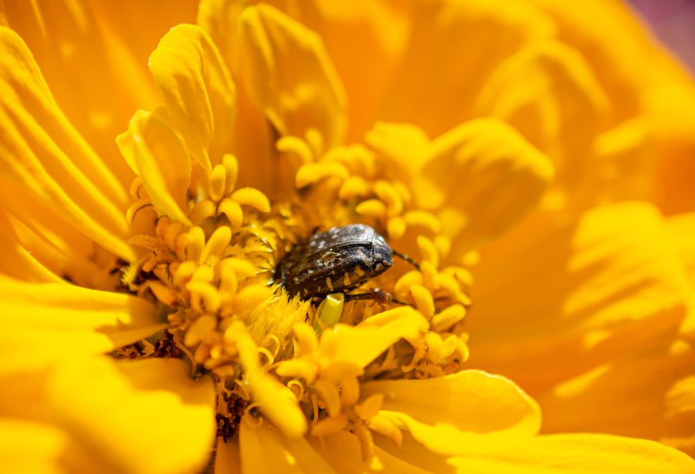 Photograph by Максим Жухлистов