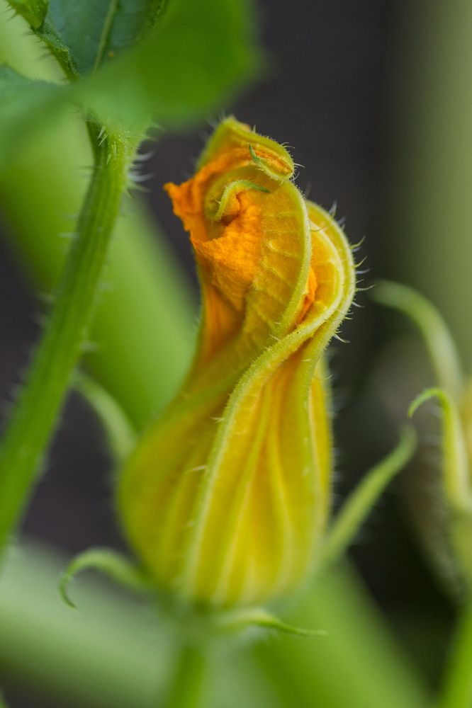 Photograph by Ольга Шуякова