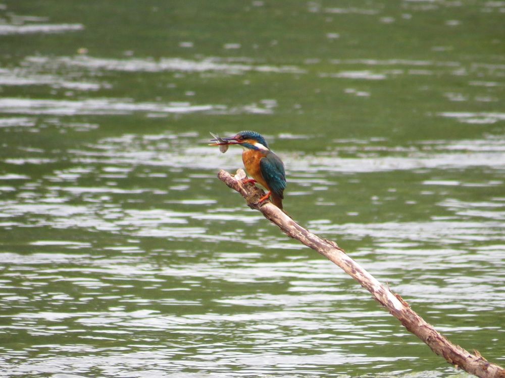 Photograph by Оксана Малахова