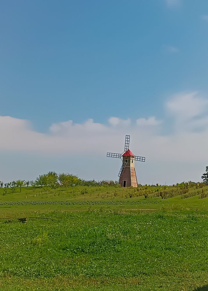Photograph by Екатерина Попко