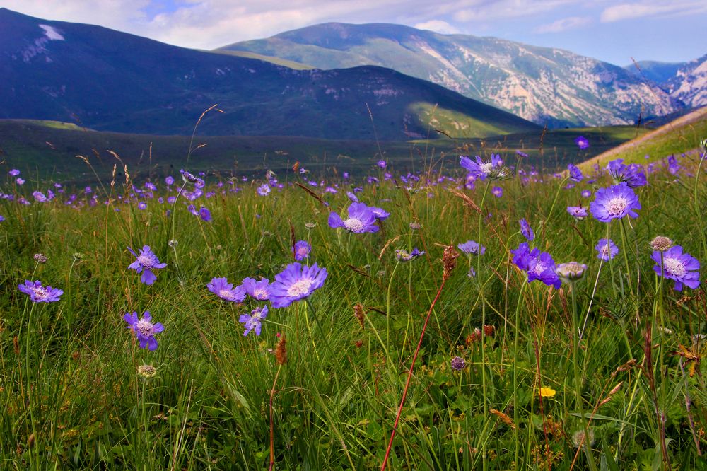Фотография автора Татьяна Сергиенко