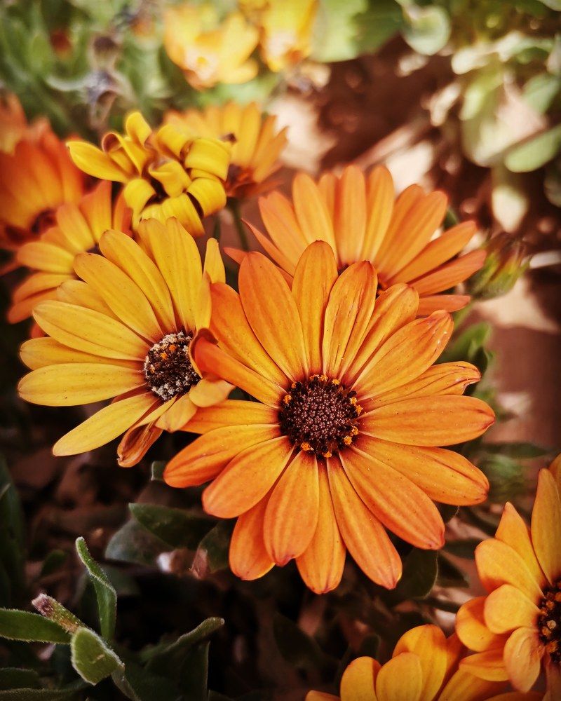 Photograph by Hossein Sadeghi