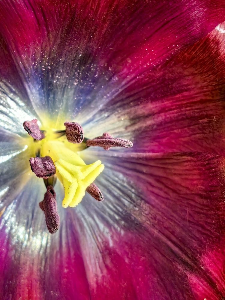 Photograph by Ольга Горох