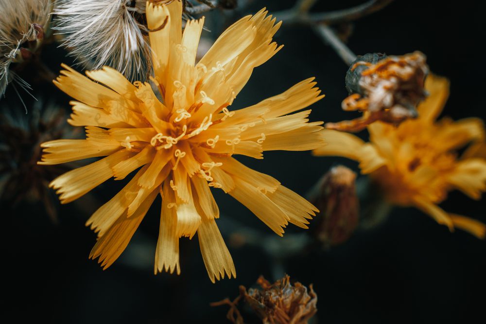 Photograph by Светлана Бохан