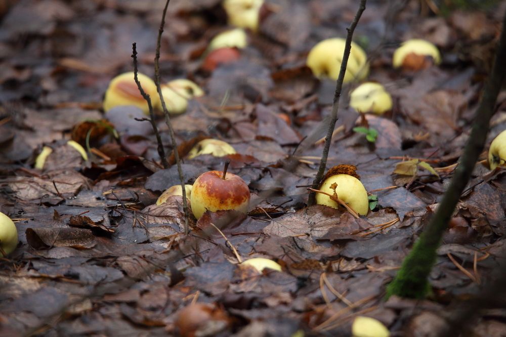 Photograph by Maksim Malkin