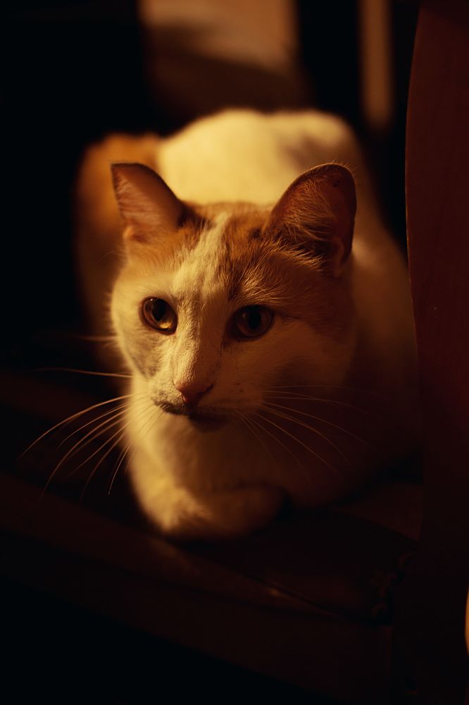 Photograph by Лия Атиева