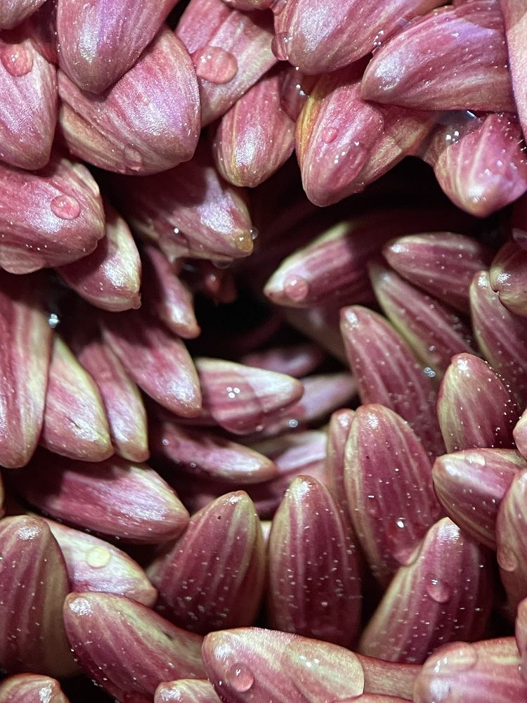 Фотография автора Рамзия Хисамутдинова