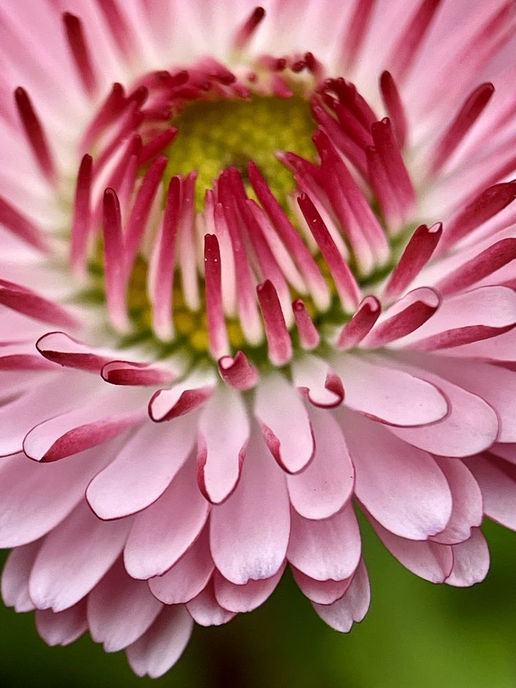 Фотография автора Рамзия Хисамутдинова