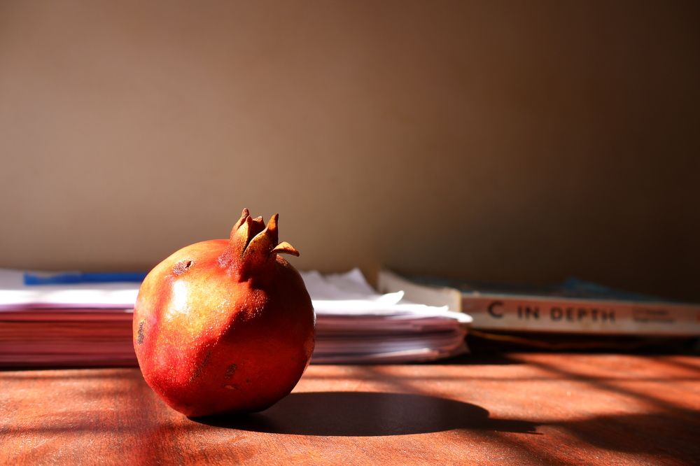 Photograph by Surajit Mandal