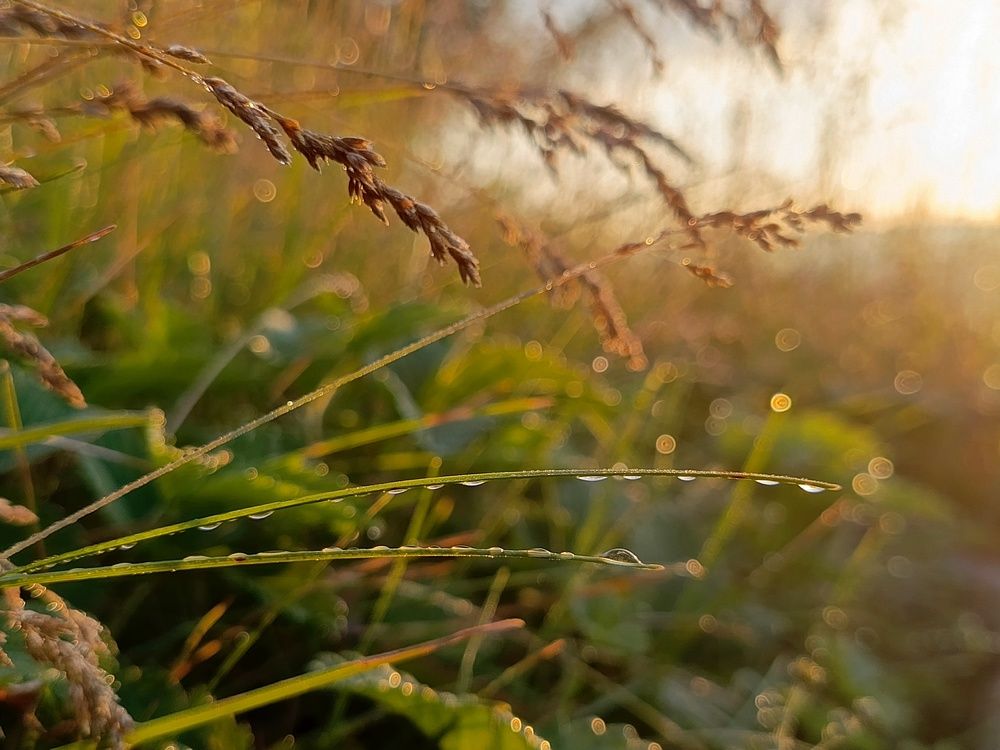 Photograph by Александра Ламанова