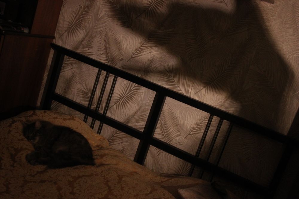 Photograph by Елена Казаренко