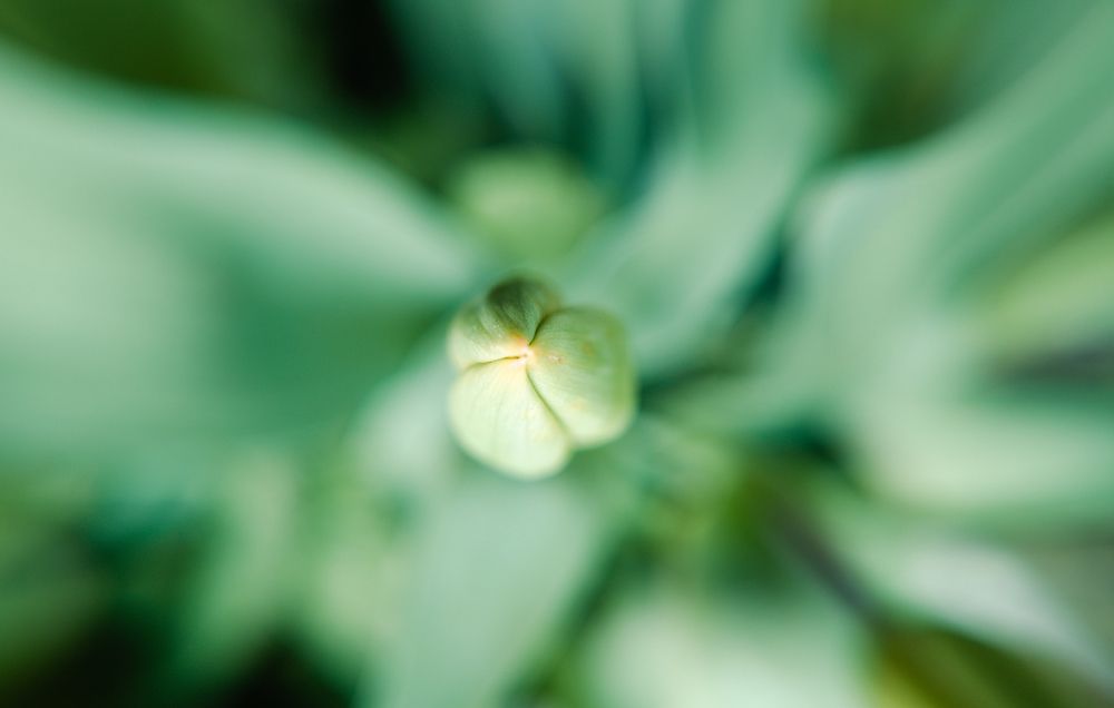 Photograph by Vitaliy