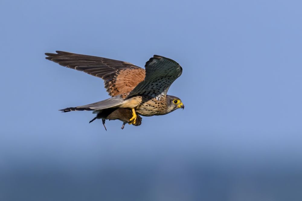 Photograph by Пупонин Сергей