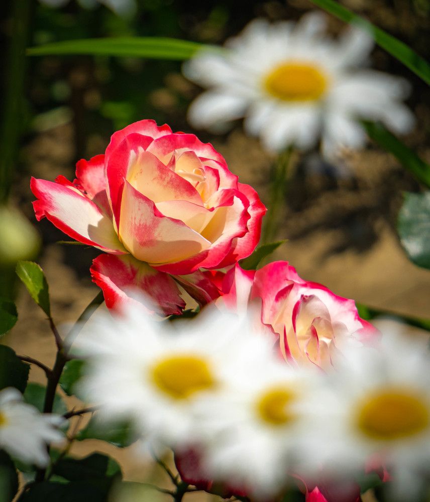 Photograph by Юрий Можейко