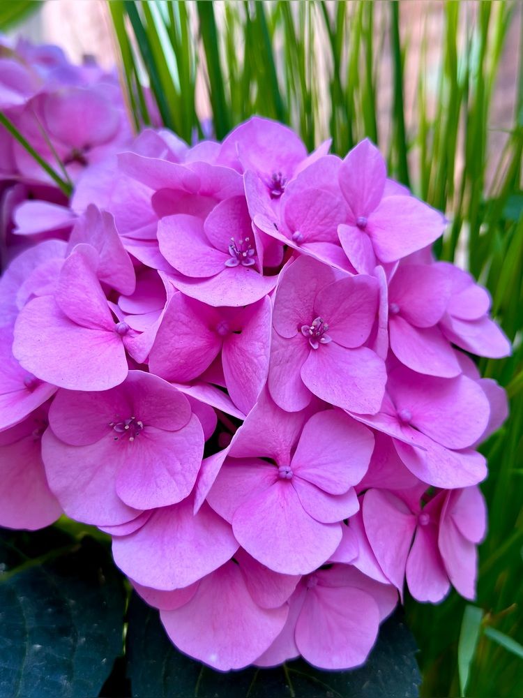 Photograph by Наталья Жигелис