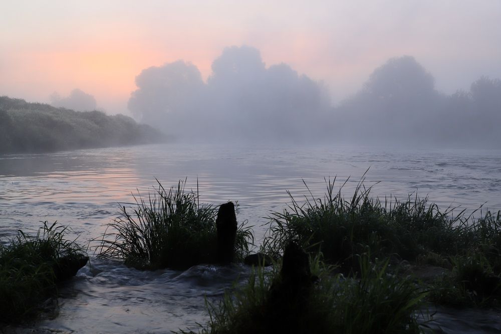 Розовый туман