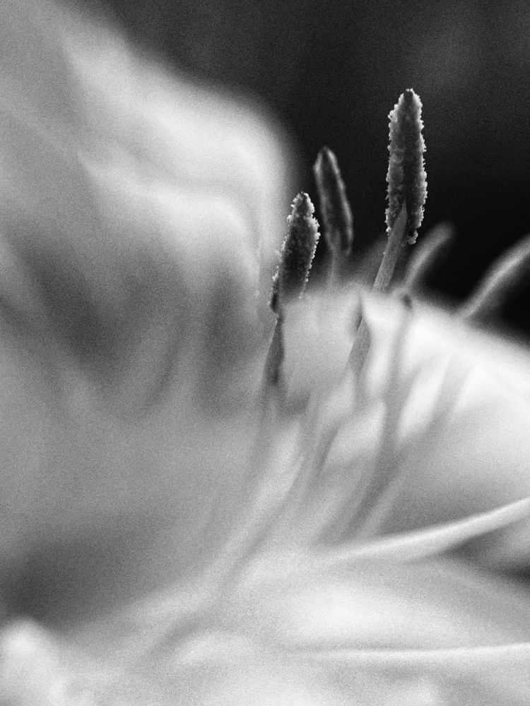 Photograph by Оксана Корепанова