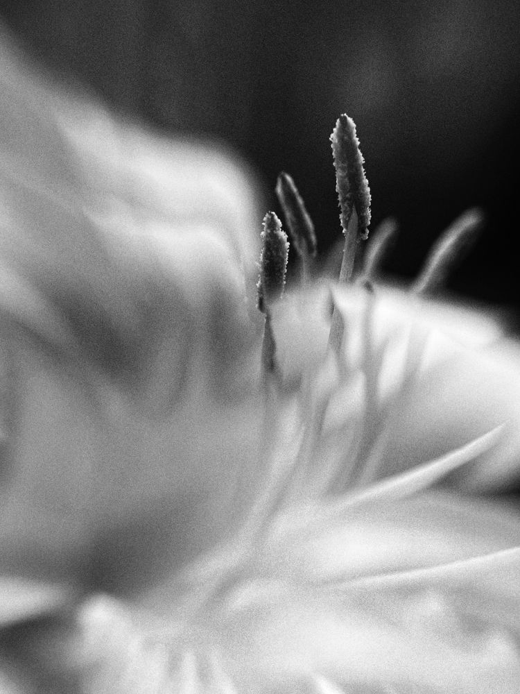 Photograph by Оксана Корепанова