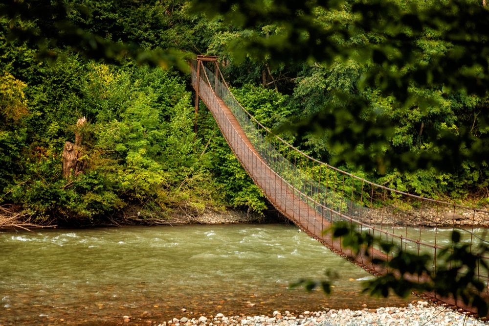 Photograph by EKATERINA WALTER