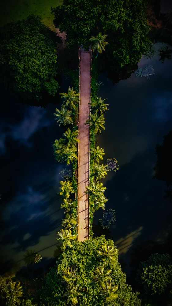 Photograph by Mrutyunjay Jena