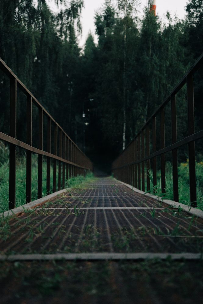 Photograph by Max Vegas