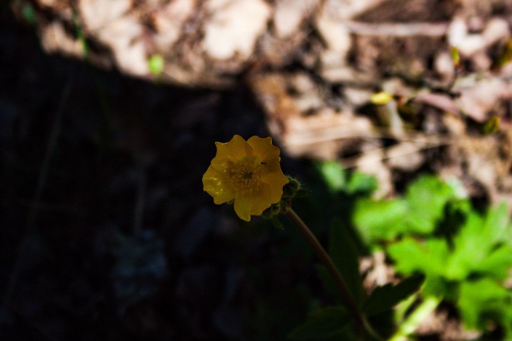 Photograph by Елена Казаренко