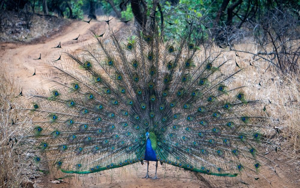 Photograph by Aryan Bhutani