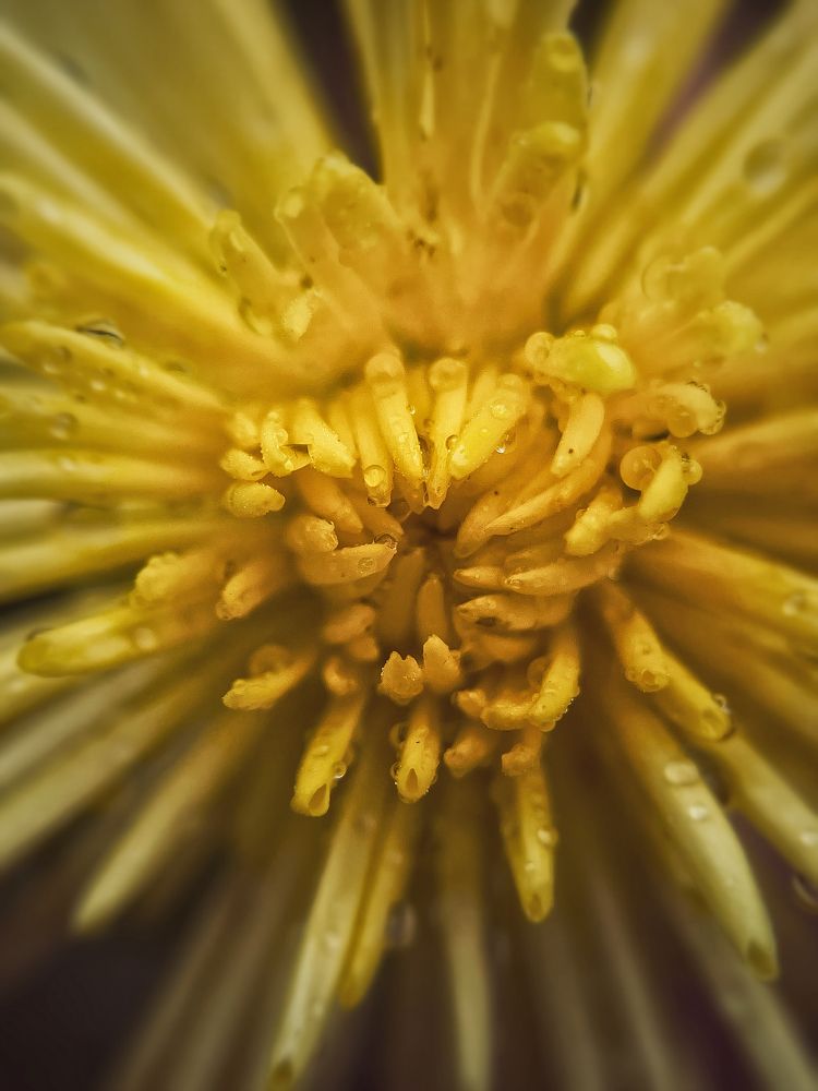 Photograph by Оксана Корепанова