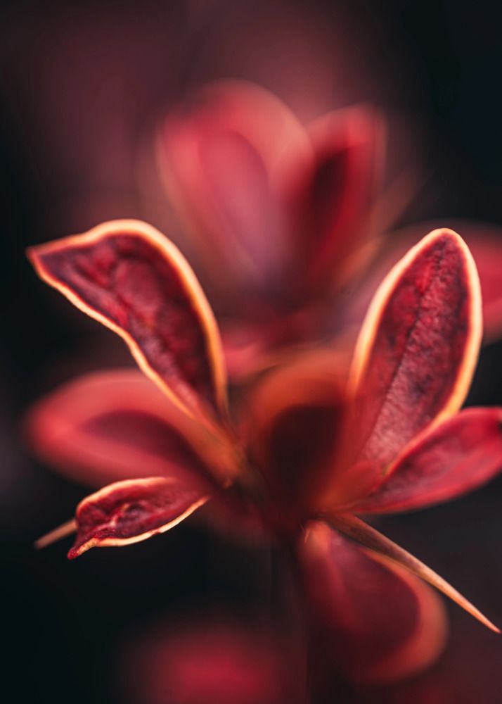 Photograph by дмитрий игнатов